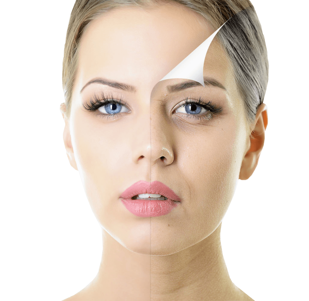 Aesthetics and Rejuvenation